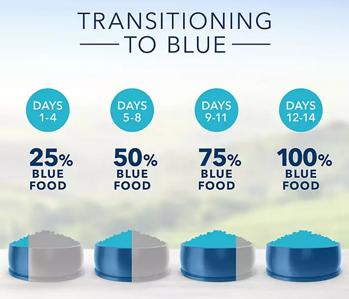 Blue Buffalo Life Protection Formula Adult Dry Dog Food, Chicken & Brown Rice (26 lbs.) - Eshop House LLC