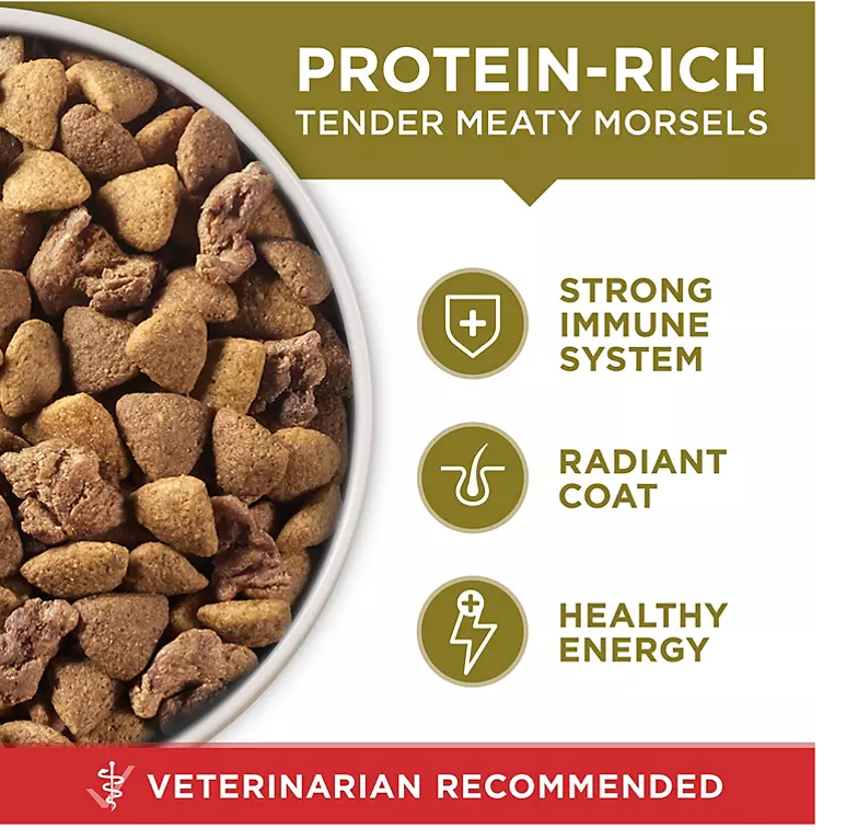 Purina ONE SmartBlend Adult Dry Dog Food, Natural Lamb and Rice Formula (44 lbs.) - Eshop House LLC