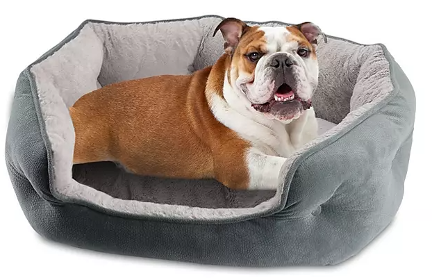 Canine Creations Cozy Oval Round Cuddler Pet Bed 28" x 23" - Eshop House LLC