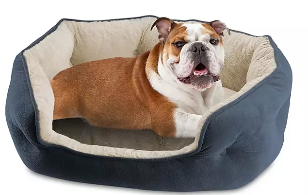 Canine Creations Cozy Oval Round Cuddler Pet Bed 28" x 23" - Eshop House LLC