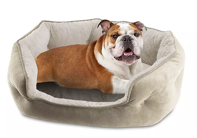 Canine Creations Cozy Oval Round Cuddler Pet Bed 28" x 23" - Eshop House LLC