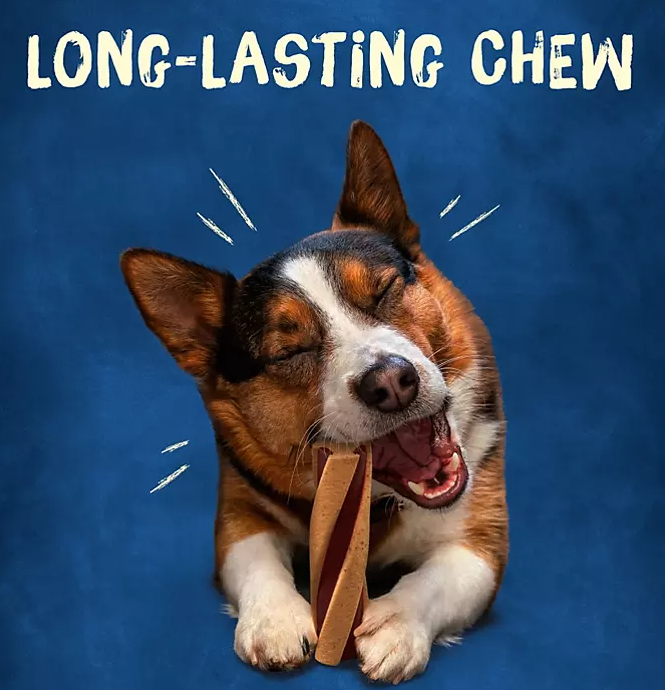 Purina Busy With Beggin' Twist'd Small/Medium Breed Dog Treats (18 ct.) - Eshop House LLC