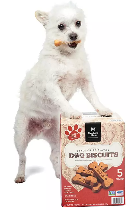 Member's Mark Apple Crisp Dog Biscuit Treats (5 lbs.) - Eshop House LLC