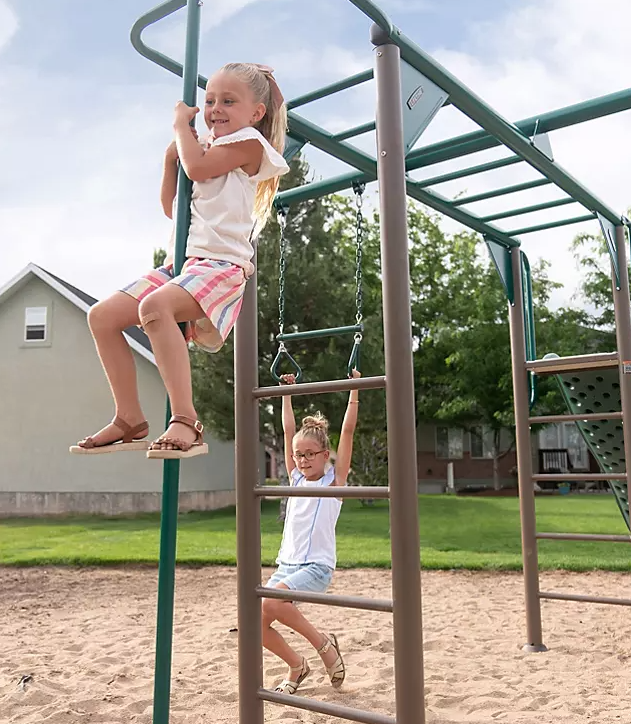 Lifetime Monkey Bar Adventure Swing Set