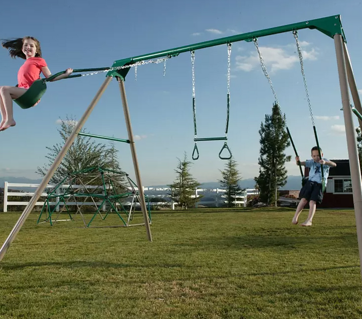 Lifetime 10-Foot Swing Set